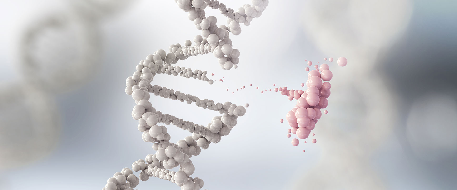 pgt-preimplantasyon-genetik-tani-22