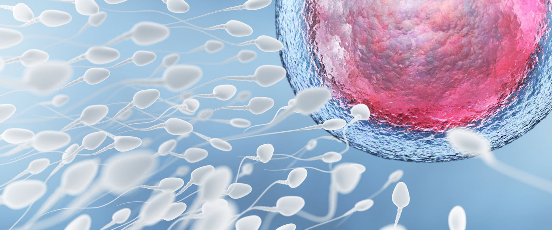 pgt-preimplantasyon-genetik-tani-23